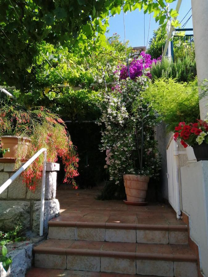 Apartments Jelen Dubrovnik Exterior photo